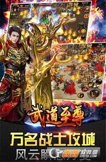 武道至尊滿v版