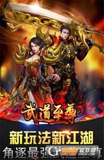 武道至尊無限元寶版